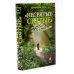 Несвятые святые и другие рассказы; Великие люди о вере (комплект из 2-х книг)