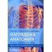 Наглядная анатомия. 3-е изд., перераб. и доп