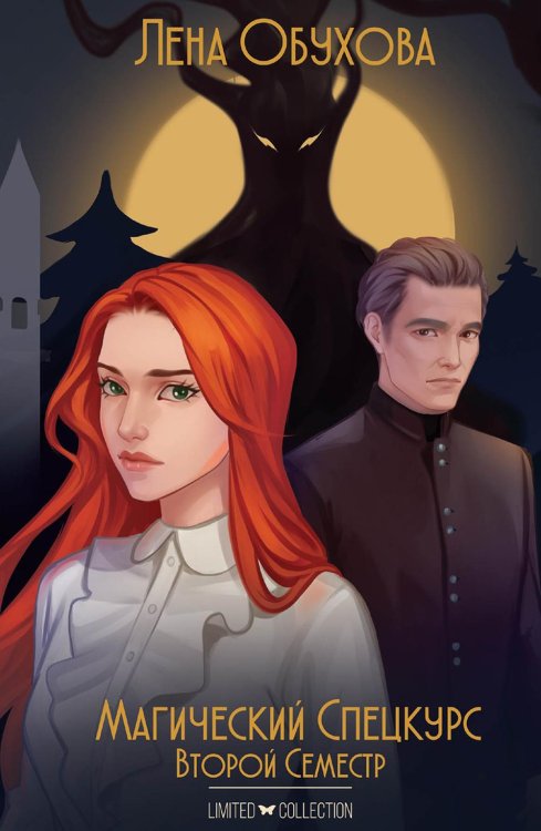 Академии за Занавесью Магический спецкурс. Второй семестр