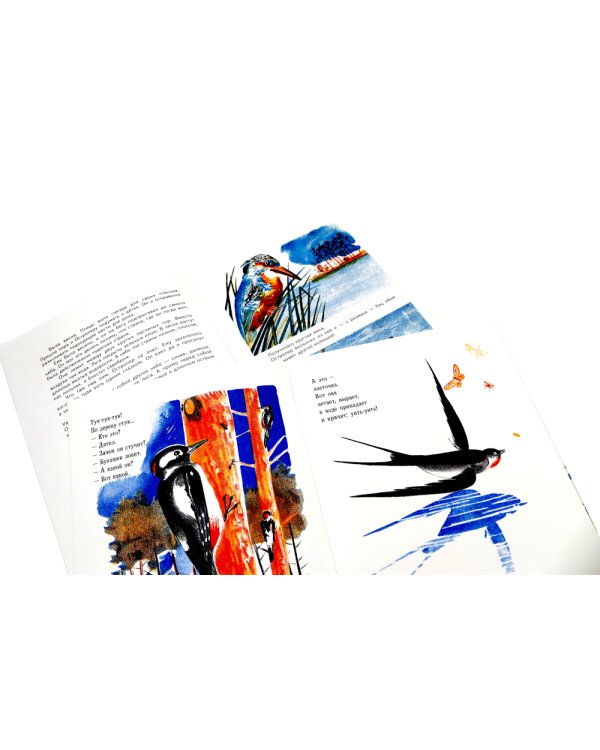 Георгий Ечеистов. 7 книг художника (комплект из 7 кн.)