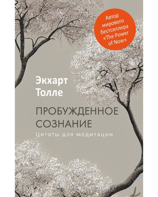 Пробужденное сознание. Цитаты для медитации