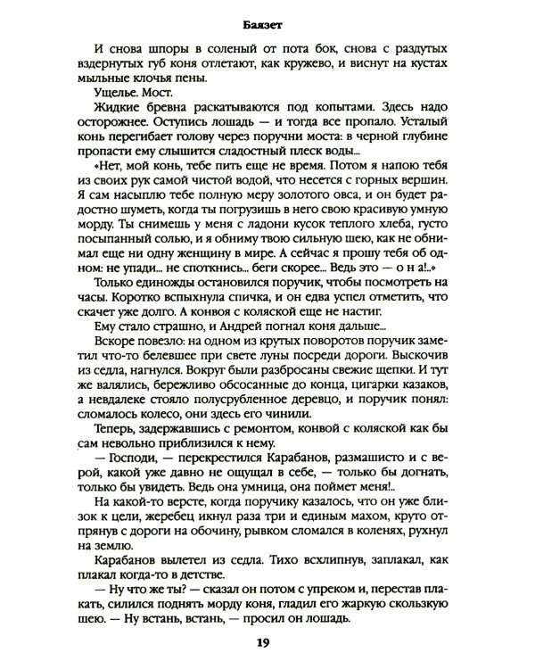 Баязет: роман