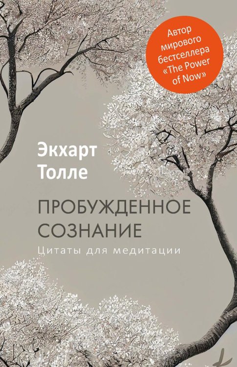 Пробужденное сознание. Цитаты для медитации
