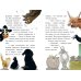 Дополнительное изображение книги «Переполох на ферме. Как поймать вора»