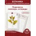 Ботаника. Систематика грибов, водорослей, растений. Подклассы ламииды, астериды. Учебное пособие. (КАРТОЧКИ 48 шт.)