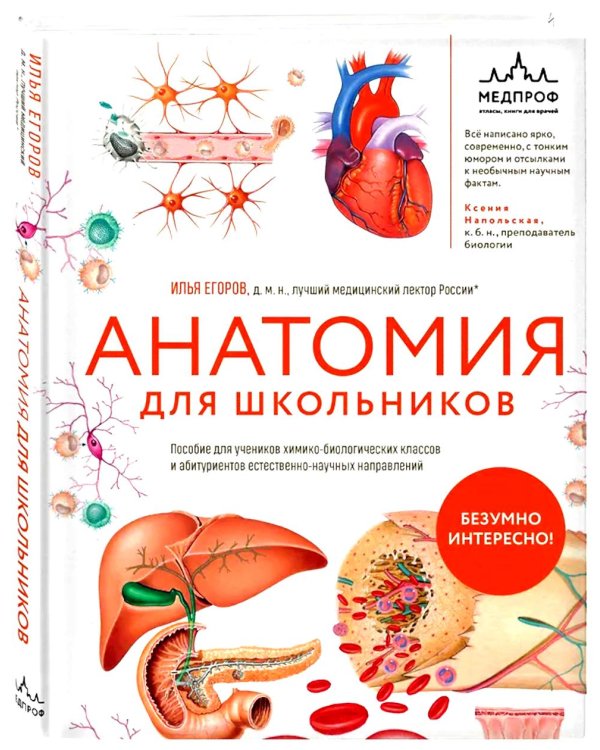 Дополнительное изображение книги «Анатомия для школьников. Пособие для учеников химико-биологических классов и абитуриентов естественно-научных направлений»