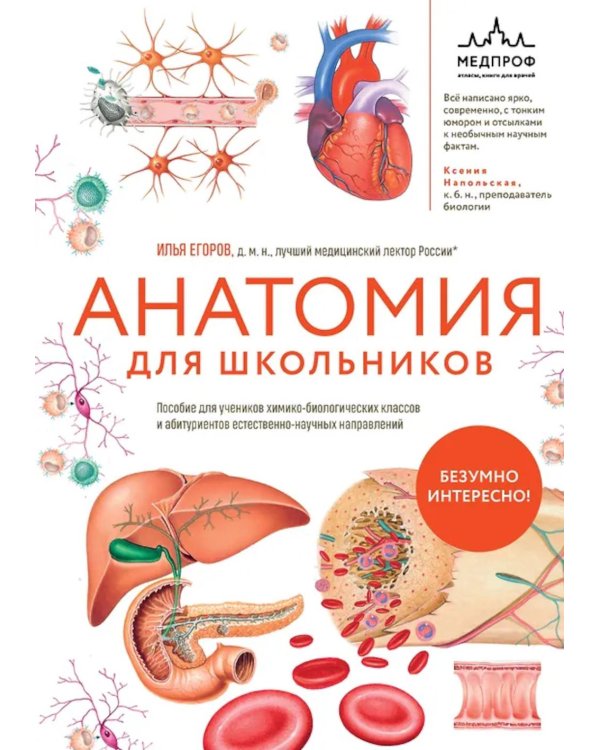 Дополнительное изображение книги «Анатомия для школьников. Пособие для учеников химико-биологических классов и абитуриентов естественно-научных направлений»