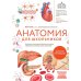 Дополнительное изображение книги «Анатомия для школьников. Пособие для учеников химико-биологических классов и абитуриентов естественно-научных направлений»