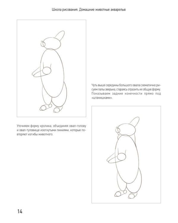Школа рисования. Домашние животные акварелью