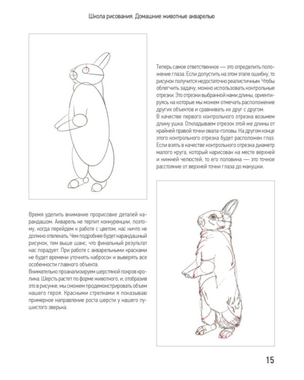 Школа рисования. Домашние животные акварелью