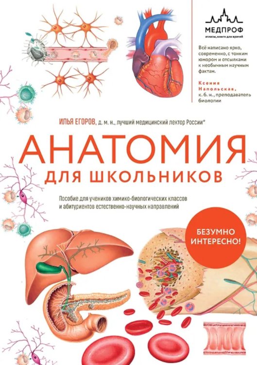 Обложка книги «Анатомия для школьников. Пособие для учеников химико-биологических классов и абитуриентов естественно-научных направлений» — Егоров Илья Вадимович, ISBN 9785042209062