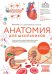 Обложка книги «Анатомия для школьников. Пособие для учеников химико-биологических классов и абитуриентов естественно-научных направлений» — Егоров Илья Вадимович, ISBN 9785042209062