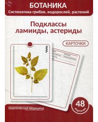 Ботаника. Систематика грибов, водорослей, растений. Подклассы ламииды, астериды. Учебное пособие. (КАРТОЧКИ 48 шт.)