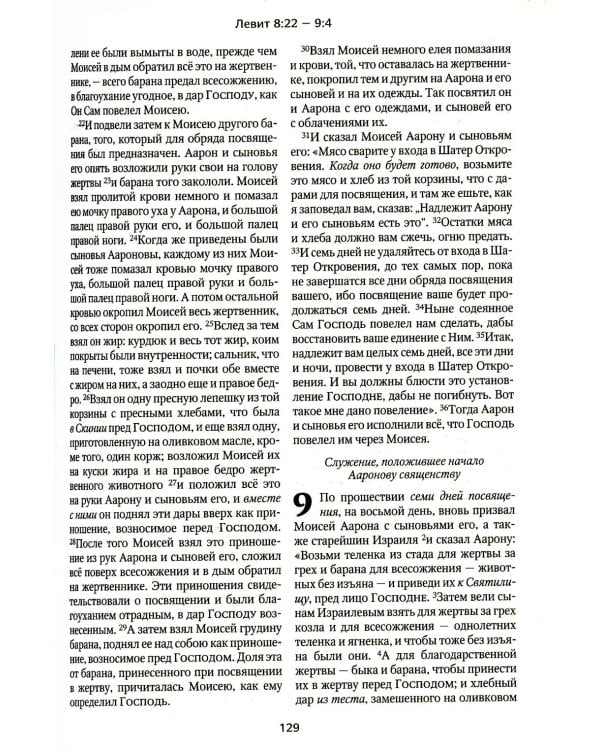 Библия в современном русском переводе. 2-е изд. (винил, бордо)