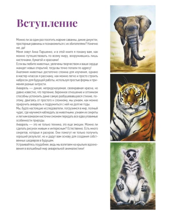 Школа рисования. Дикие животные акварелью