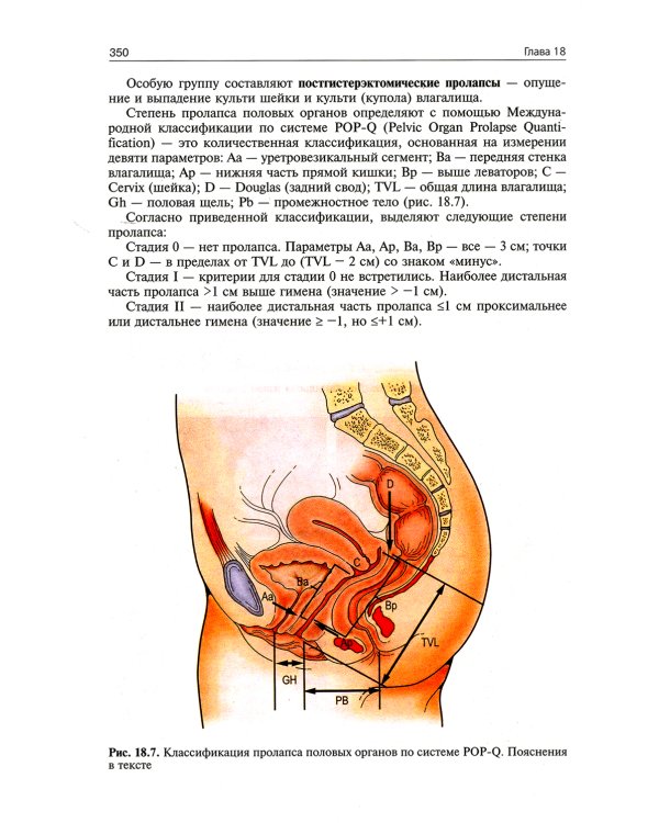 Гинекология: Учебник. 4-е изд., перераб. и доп