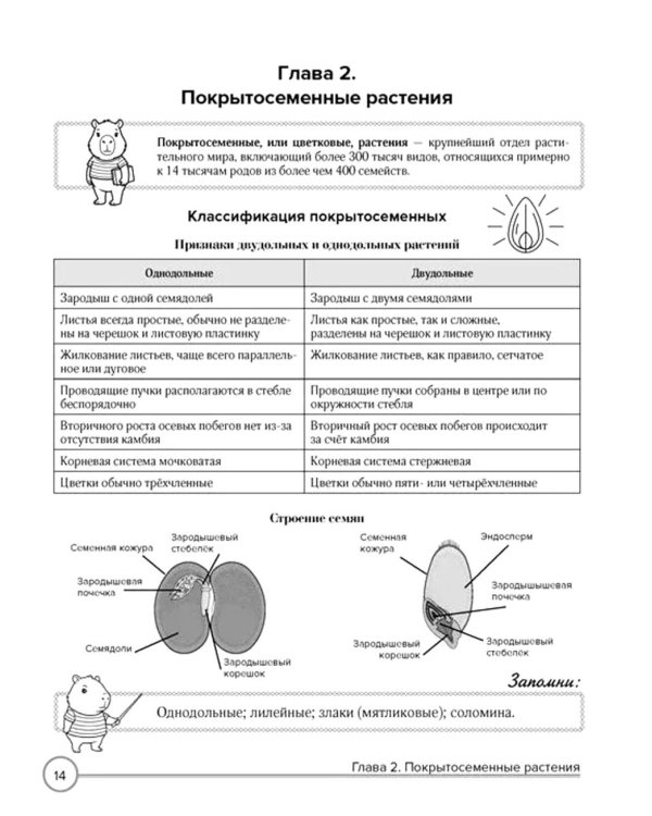 Дополнительное изображение книги «Биология в таблицах и комиксах»