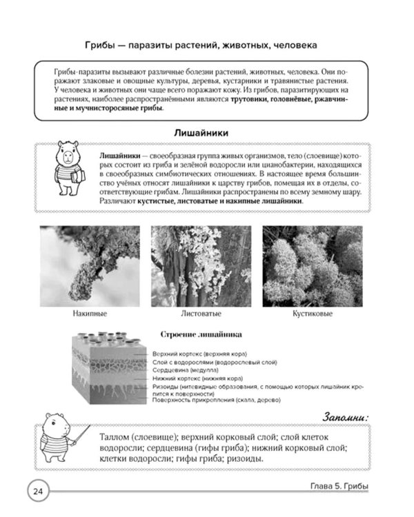Дополнительное изображение книги «Биология в таблицах и комиксах»