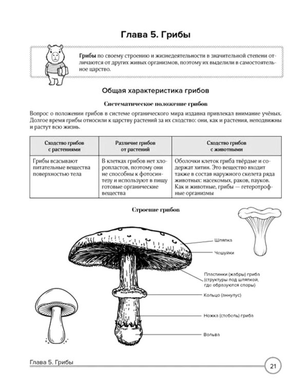 Дополнительное изображение книги «Биология в таблицах и комиксах»
