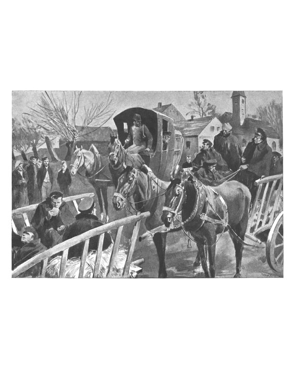 Война и мир: роман. В 2 т