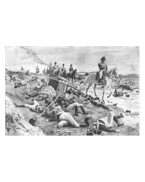 Война и мир: роман. В 2 т