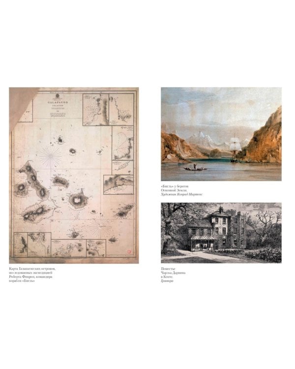 Происхождение видов путем естественного отбора