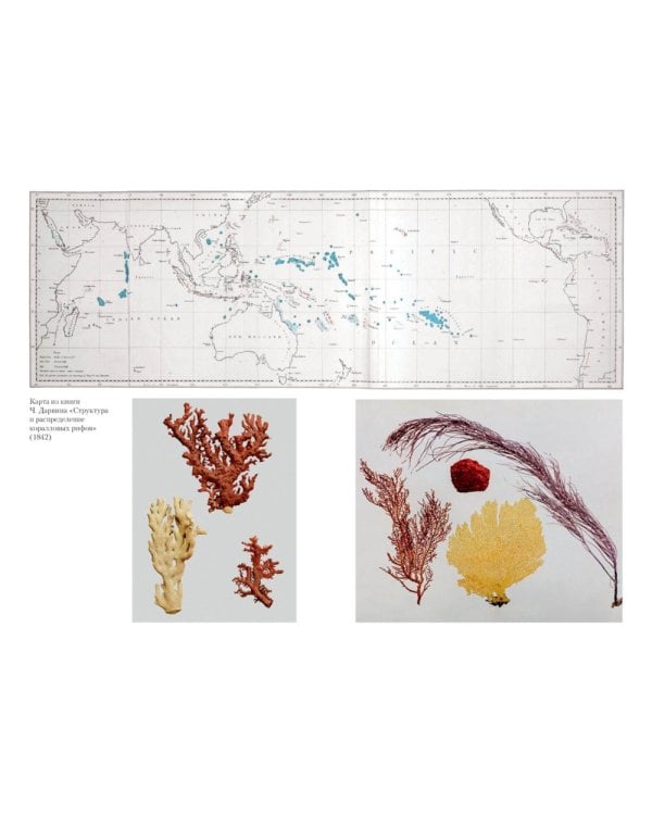 Происхождение видов путем естественного отбора