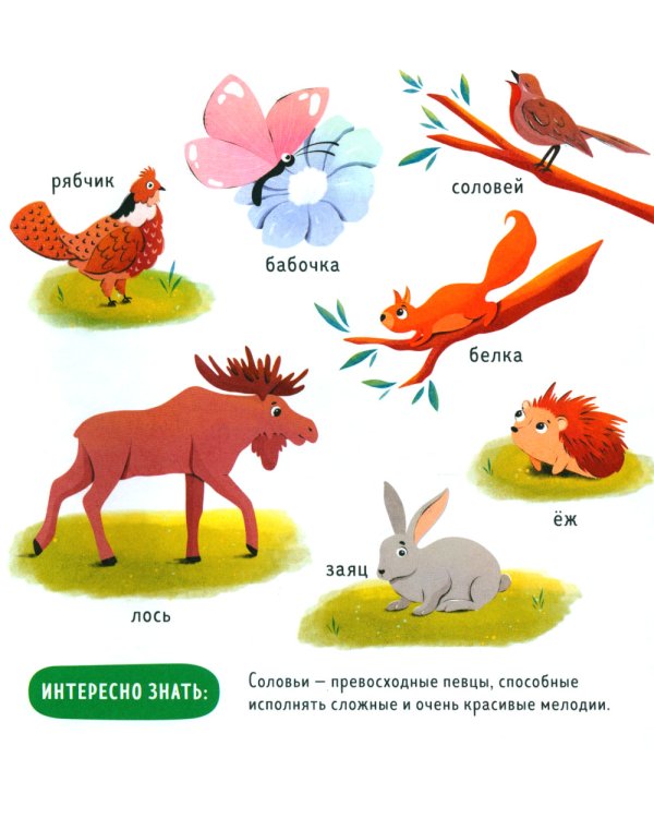 Дополнительное изображение книги «Прогулки по лесу»