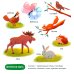 Дополнительное изображение книги «Прогулки по лесу»