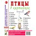 Птицы в картинках. Вып. 2. Наглядное пособие для педагогов, логопедов, воспитателей и родителей