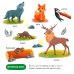 Дополнительное изображение книги «Прогулки по лесу»