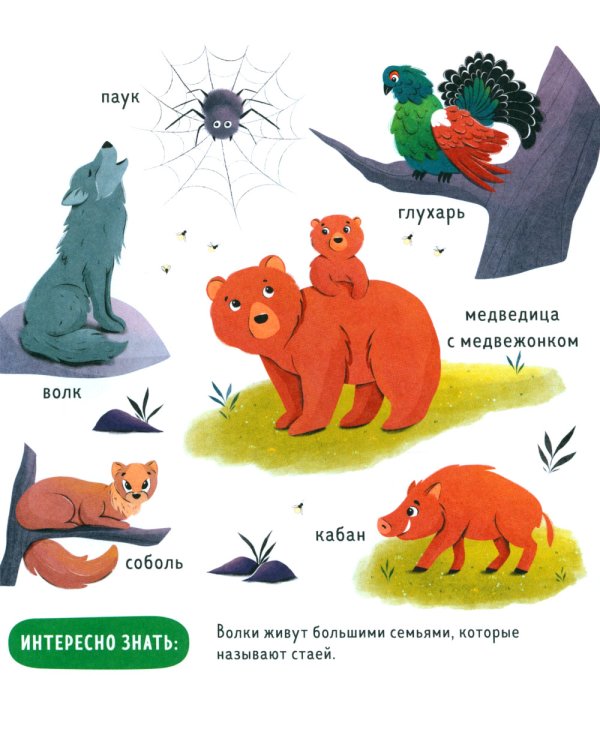 Дополнительное изображение книги «Прогулки по лесу»