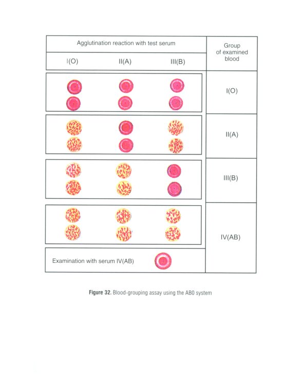 General surgery: textbook: на англ.яз