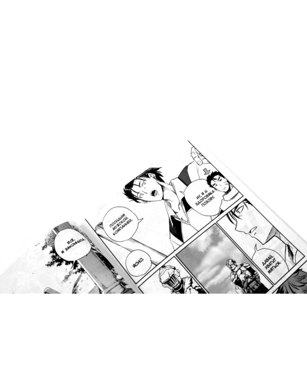 Убийца гоблинов. Т. 12: манга