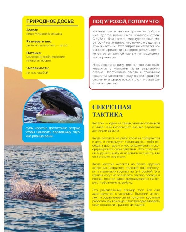 Красная книга России. От Байкала до Камчатки. Иллюстрированная энциклопедия школьника