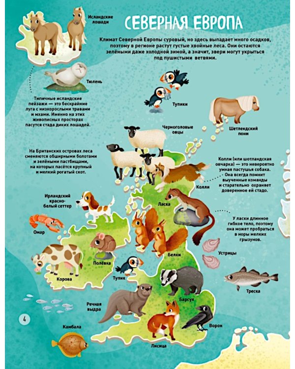 Мир животных в картинках