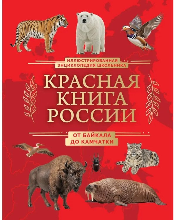 Красная книга России. От Байкала до Камчатки. Иллюстрированная энциклопедия школьника