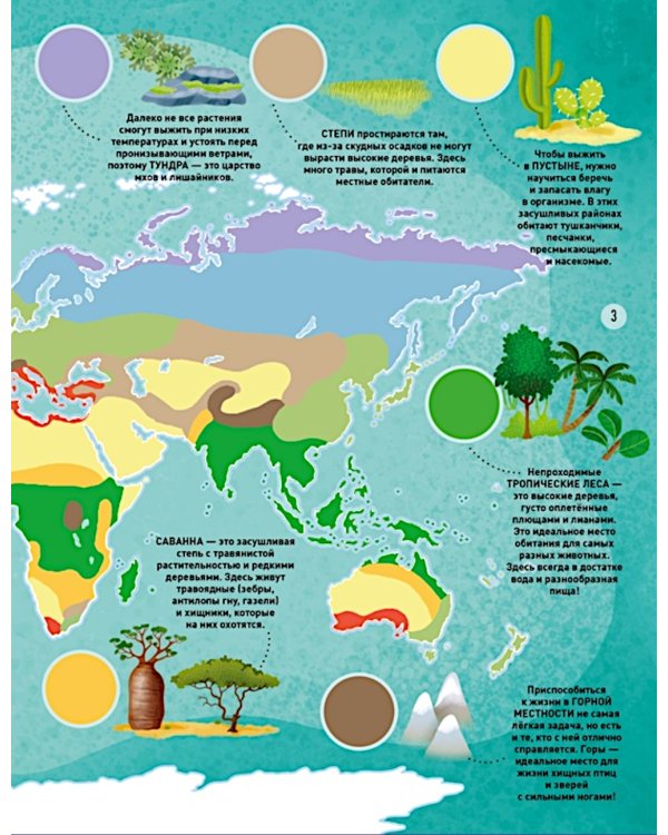 Мир животных в картинках