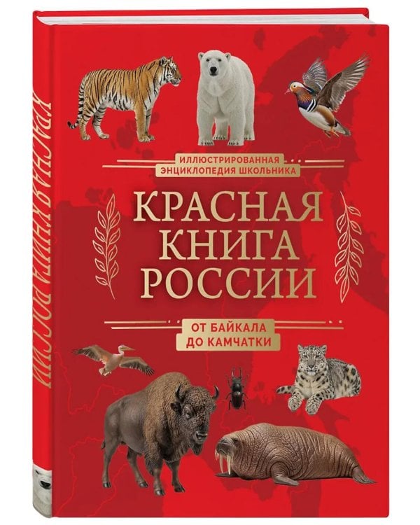 Красная книга России. От Байкала до Камчатки. Иллюстрированная энциклопедия школьника