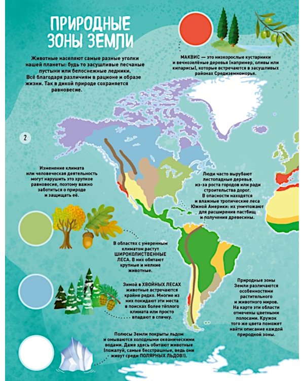 Мир животных в картинках