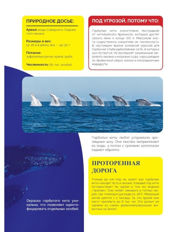 Красная книга России. От Байкала до Камчатки. Иллюстрированная энциклопедия школьника