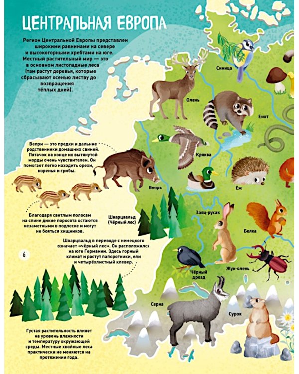 Мир животных в картинках