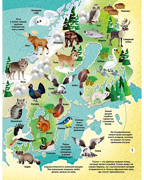 Мир животных в картинках