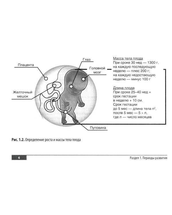 Клинические нормы. Педиатрия. 2-е изд., перераб