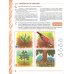 Развиваем связную речь у детей 6-7 лет с ОНР. Альбом 1. Мир растений. 3-е изд., испр