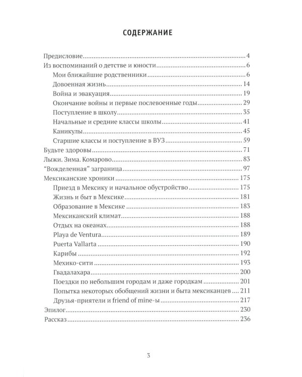 Автобиографические очерки IT-теоретика