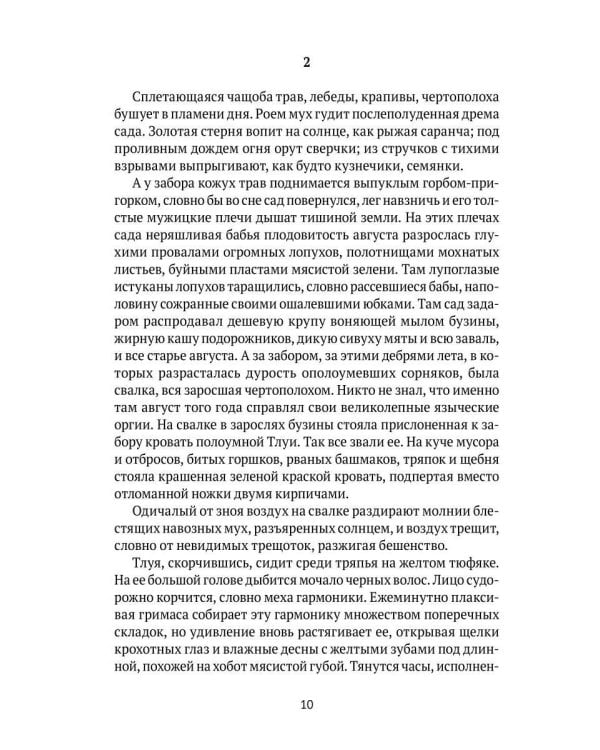 Дополнительное изображение книги «Республика мечты»