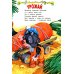 Мои первые сказки