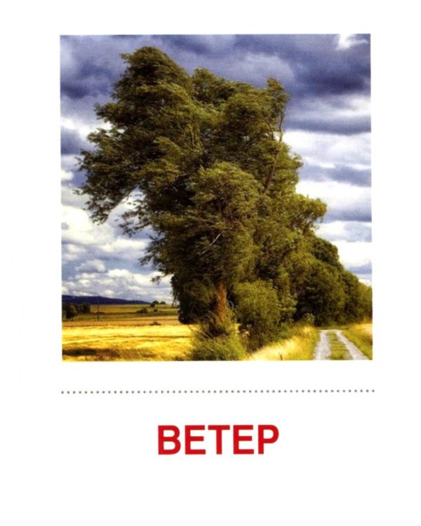 Комплект книг. Природные явления. Методическое пособие + наглядный материал (1 кн.+ 2 комплекта карточек))