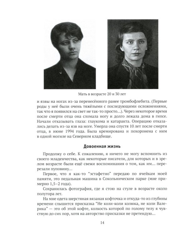 Автобиографические очерки IT-теоретика